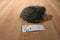 Douglas Hillary Hedgehog Beanbag Plush