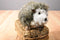 Douglas Hillary Hedgehog Beanbag Plush