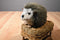 Douglas Hillary Hedgehog Beanbag Plush