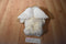 First & Main Snow Angels Brown Bear Beanbag Plush
