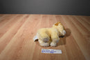 Gund Boo the Shaved Pomeranian Beanbag Plush