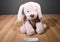 Animal Adventure Pink Dog 2022 Beanbag Plush
