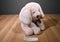 Animal Adventure Pink Dog 2022 Beanbag Plush
