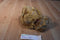 Russ Gregory Brown Teddy Bear With Red Bow Plush
