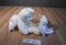 Ty Beanie Buddy 1999 and Baby 1998 Halo Bear Beanbag Plushes