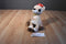 Prestige Rudolph Musical Reindeer Clarice 2014 Plush