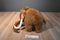 Fiesta Woolly Mammoth Plush