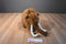 Fiesta Woolly Mammoth Plush