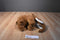 Fiesta Woolly Mammoth Plush