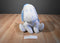 Disney Store Snowflake Eeyore Beanbag Plush