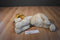 Ty Classic Scraps Beige and Brown Dog 2001 Beanbag Plush
