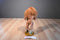 Warner Bros. Wizard of Oz Cowardly Lion 1998 Beanbag Plush