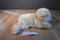 RBI Ron Banafato Beige Bear Beanbag Plush