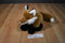 Wild Republic Red Fox 2010 Beanbag Plush