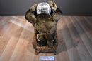 ACE Looney Tunes Taz Holding TNT 1998 Plush
