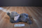 Aurora Flopsies Grey and Pink Elephant Beanbag Plush