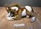 Hugfun Passport Brown and White Horse Pony Pinto Paint Plush