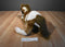 Hugfun Passport Brown and White Horse Pony Pinto Paint Plush