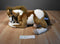 Hugfun Passport Brown and White Horse Pony Pinto Paint Plush