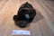 Russ Sienna Brown Teddy Bear Beanbag Plush