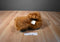 Coleco Alien Productions ALF 1986 Plush