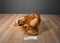 Coleco Alien Productions ALF 1986 Plush