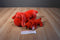 Ty Beanie Buddy 1998 and Baby 1996 Rover Red Dog Beanbag Plushes