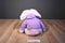 Prima Creations Pink Bunny Rabbit In Purple Hoodie 2011 Plush