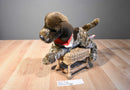 Douglas Wolfgang German Shorthair Pointer