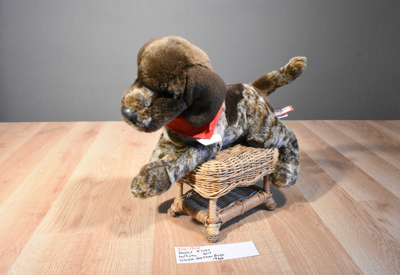 Douglas Wolfgang German Shorthair Pointer