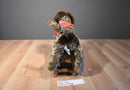 Douglas Wolfgang German Shorthair Pointer