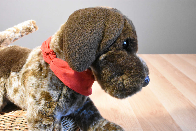 Douglas Wolfgang German Shorthair Pointer