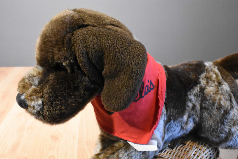 Douglas Wolfgang German Shorthair Pointer