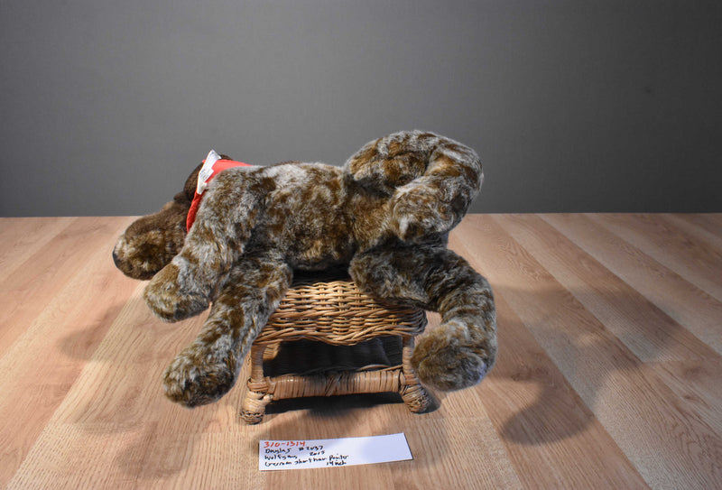 Douglas Wolfgang German Shorthair Pointer