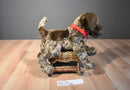 Douglas Wolfgang German Shorthair Pointer