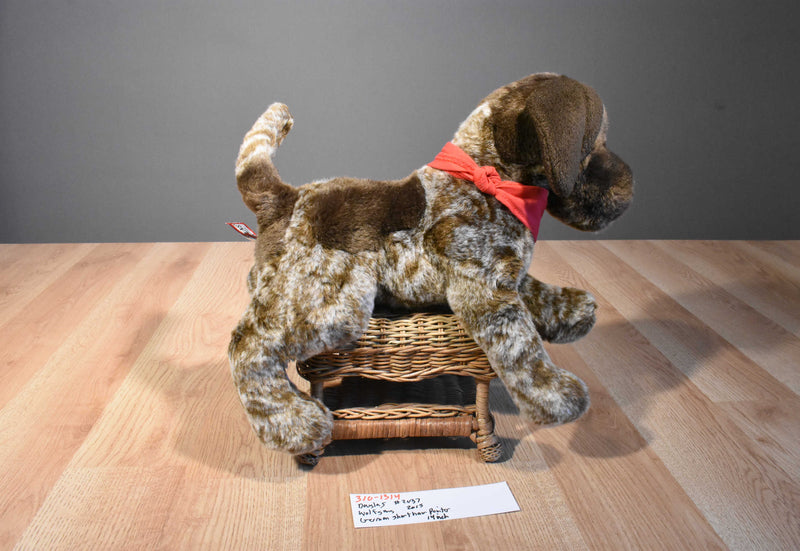 Douglas Wolfgang German Shorthair Pointer
