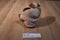 Boyd's Mrs. Mertz Brown Bear in Pink Striped Sweater