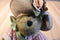 Boyd's Mrs. Mertz Brown Bear in Pink Striped Sweater