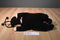Anne Geddes 16 in. and 9 in. Ladybug Babies 1998 Beanbag Plush