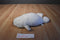K & M White Harp Seal Pup 2003 Beanbag Plush