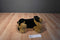 Applause Avanti Rottweiler 1987 Plush