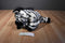 Animal Alley Floppy Zebra Beanbag Plush