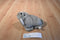 H. Y. T. Grey Walrus Plush