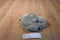 H. Y. T. Grey Walrus Plush