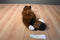 Russ Rolly Raccoon Beanbag Plush