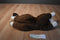 Russ Rolly Raccoon Beanbag Plush
