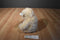 Ty Classic Flecks Cream Teddy Bear 2000 Beanbag Plush