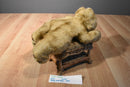 MJC Purr-fection Honey Gold Bear 1992 Plush