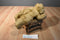 MJC Purr-fection Honey Gold Bear 1992 Plush