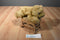 MJC Purr-fection Honey Gold Bear 1992 Plush